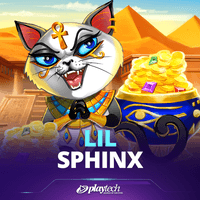 Tiểu Nhân Sư game cover